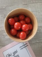 Tomaten 4.jpg